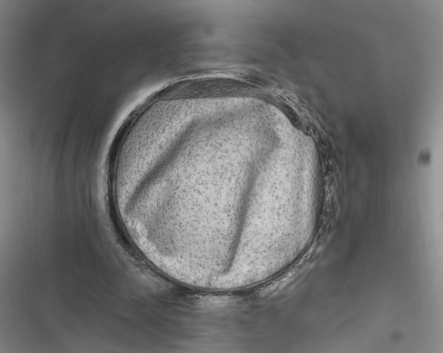 X0000116850342201001121224