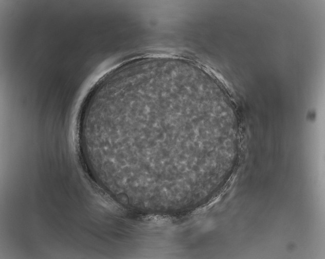 X0000116850343201001121224