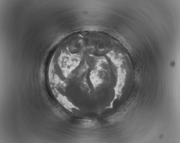 X0000116850347201001121224