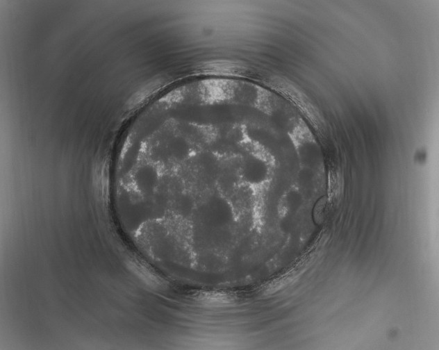 X0000116850349201001121224