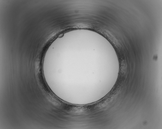 X0000116850351201001121224