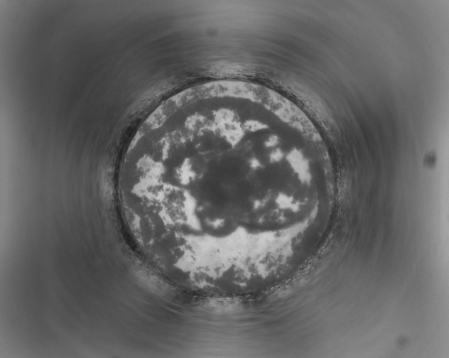 X0000116850353201001121224