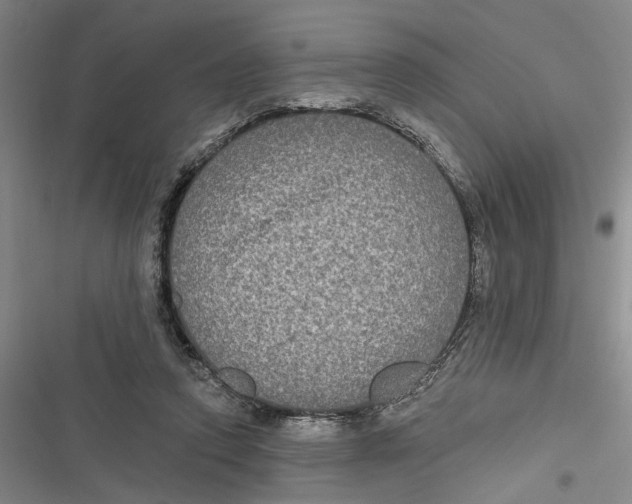 X0000116850354201001121224