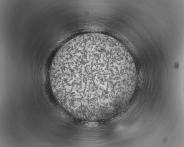 X0000116850355201001121224