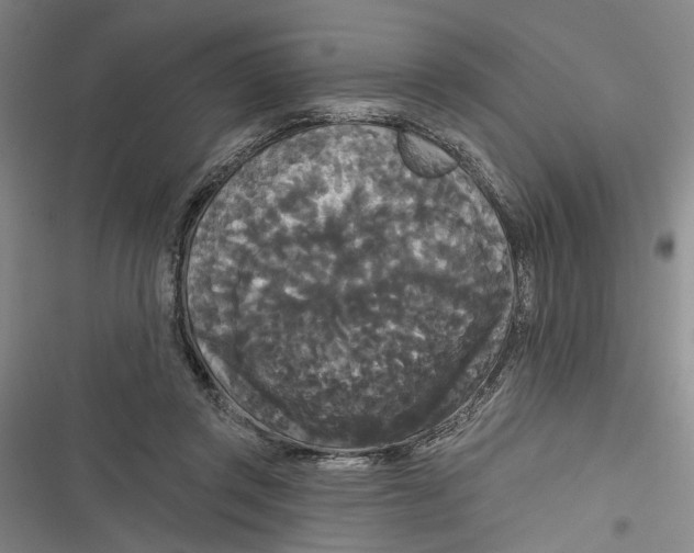 X0000116850357201001121224