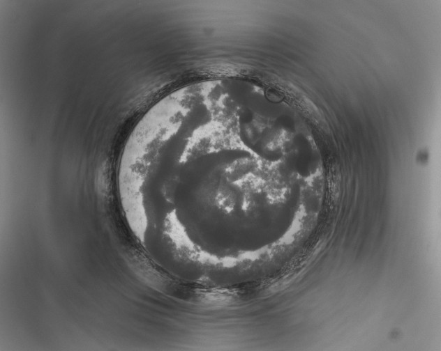 X0000116850359201001121225