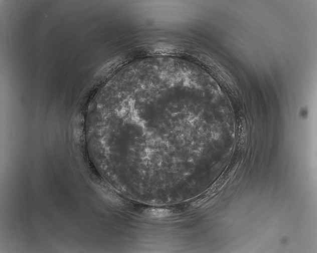 X0000116850361201001121225