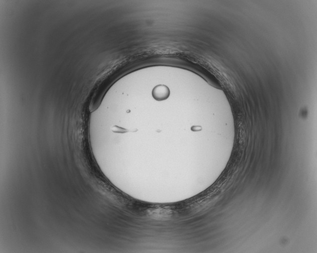 X0000116850362201001121225