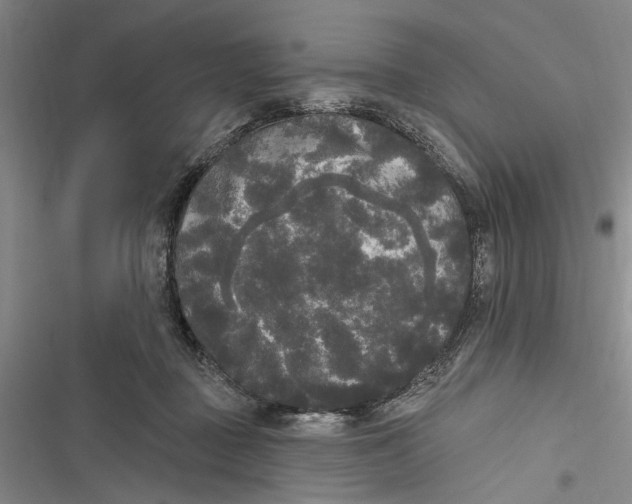 X0000116850363201001121225