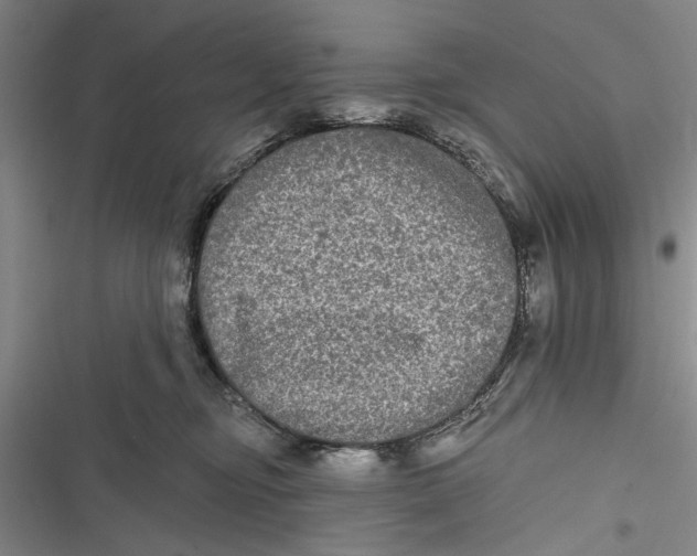 X0000116850374201001121225