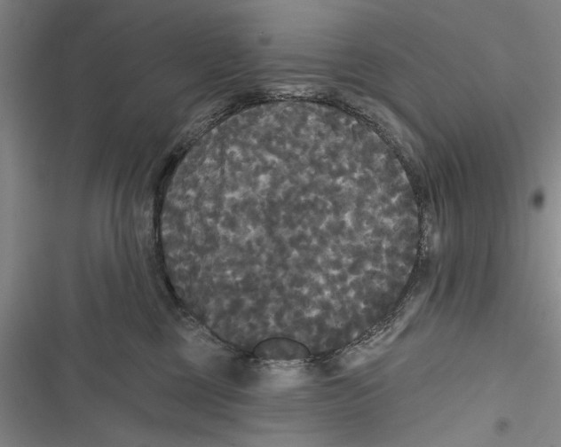 X0000116850377201001121225