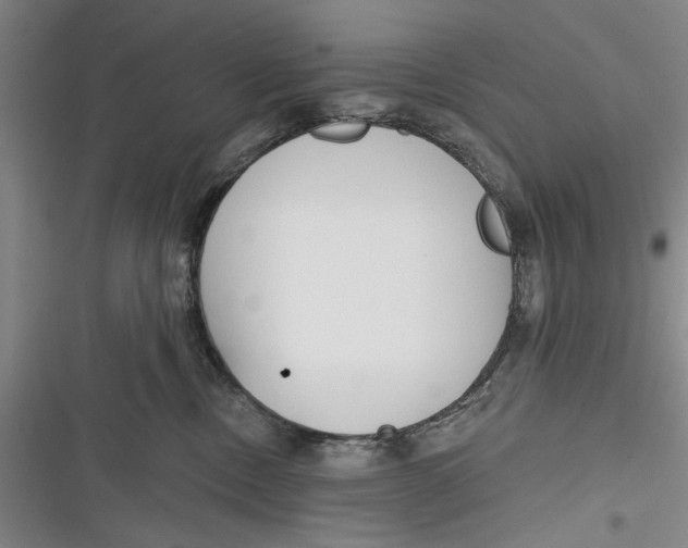 X0000116850378201001121225