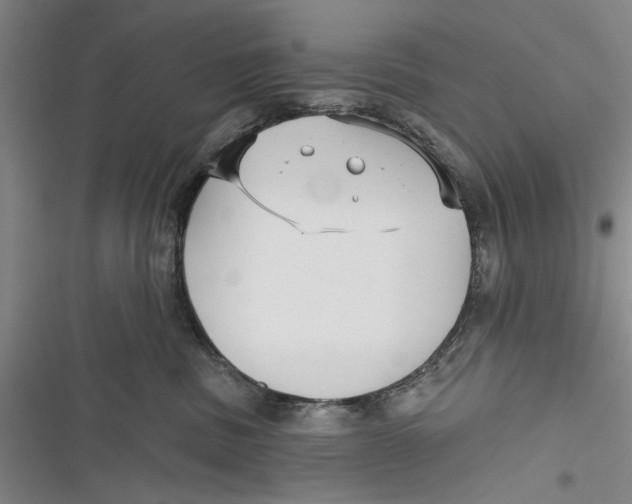X0000116850379201001121225