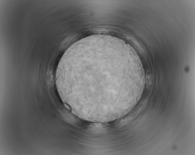 X0000116850381201001121225