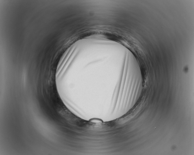X0000116850382201001121225
