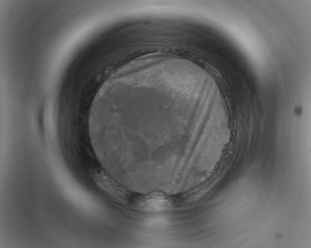 X0000116850383201001121225
