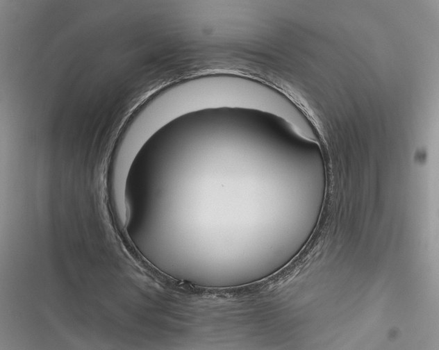 X0000116850386201001121224