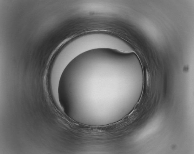 X0000116850387201001121224