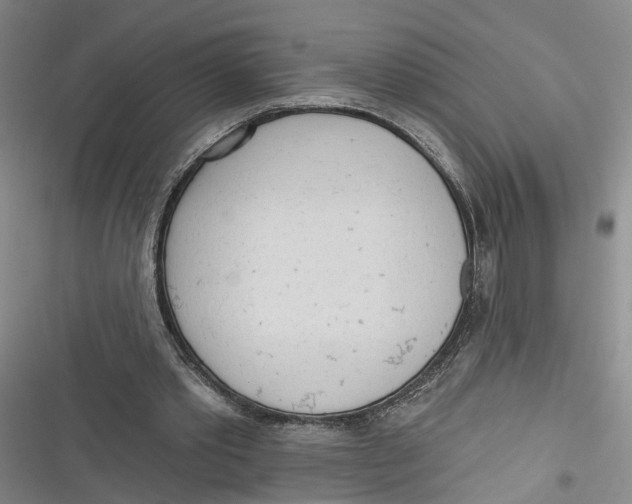 X0000116850389201001121224