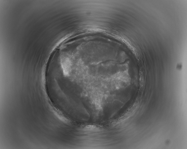 X0000116850390201001121224