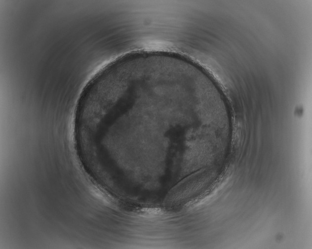 X0000116850391201001121224