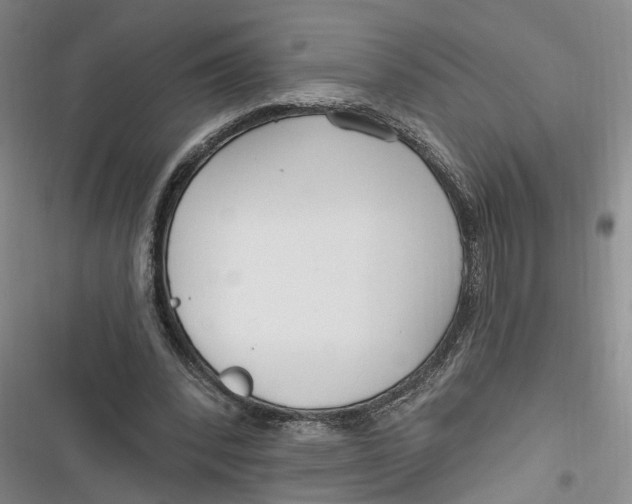 X0000116850392201001121224