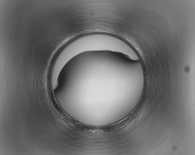 X0000116850395201001121224