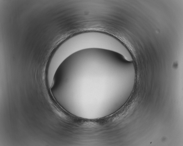 X0000116850397201001121224