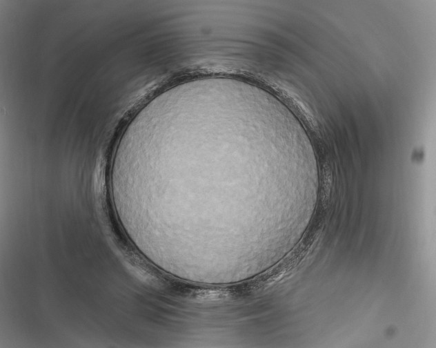 X0000116850398201001121224