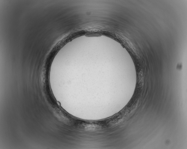 X0000116850400201001121224