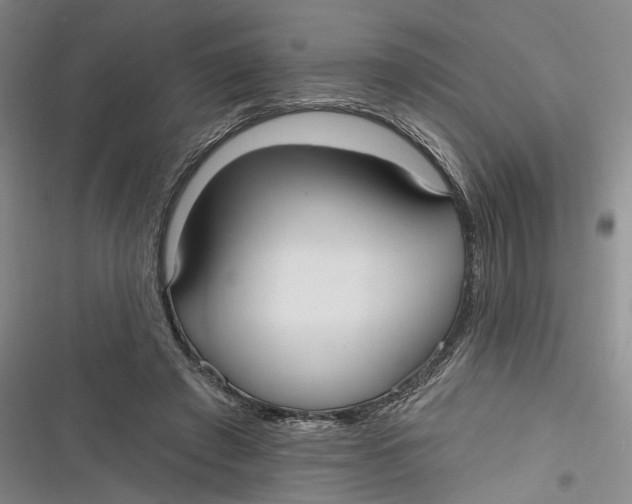 X0000116850401201001121224