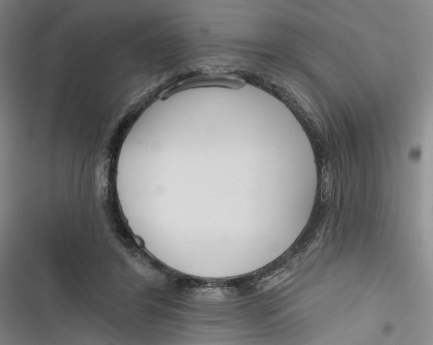 X0000116850404201001121224