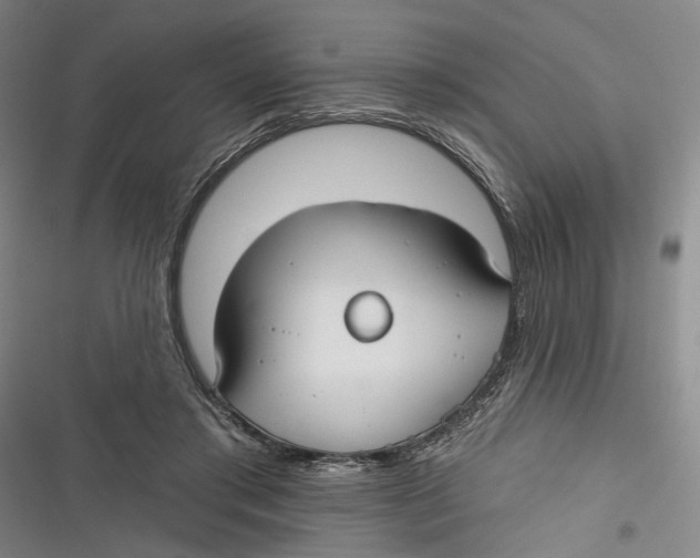 X0000116850405201001121224