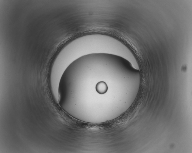 X0000116850407201001121224