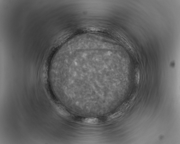 X0000116850410201001121224