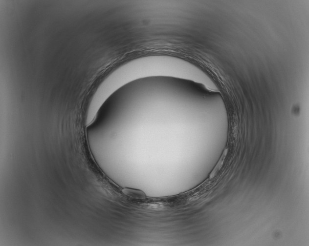 X0000116850411201001121224