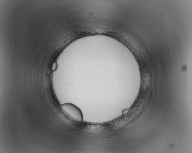 X0000116850414201001121224