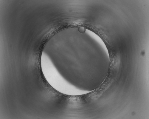 X0000116850415201001121224