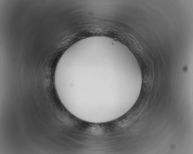 X0000116850416201001121224