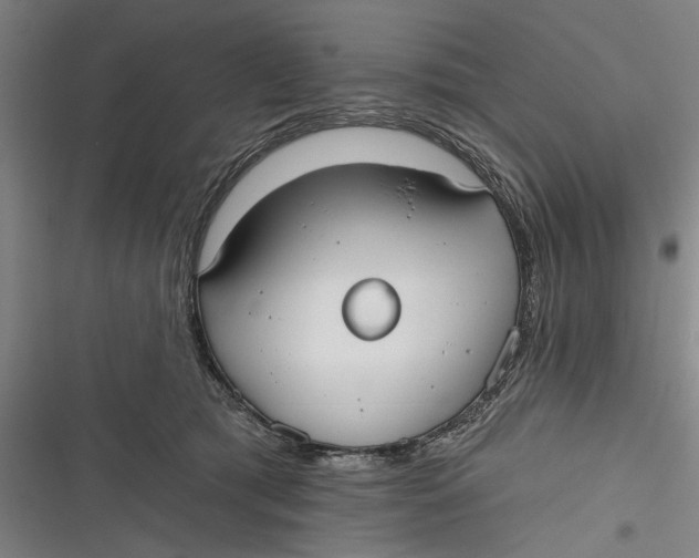 X0000116850417201001121224