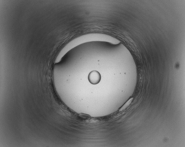 X0000116850419201001121224