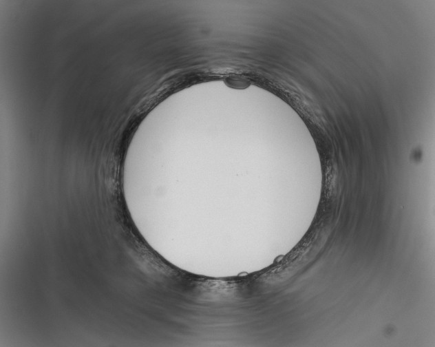 X0000116850421201001121224