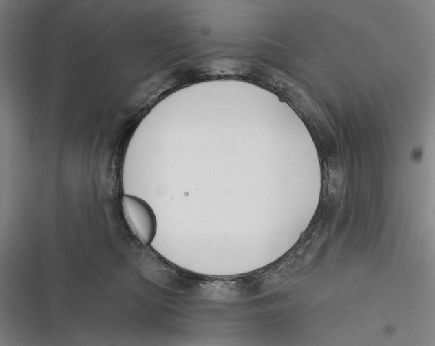 X0000116850422201001121224