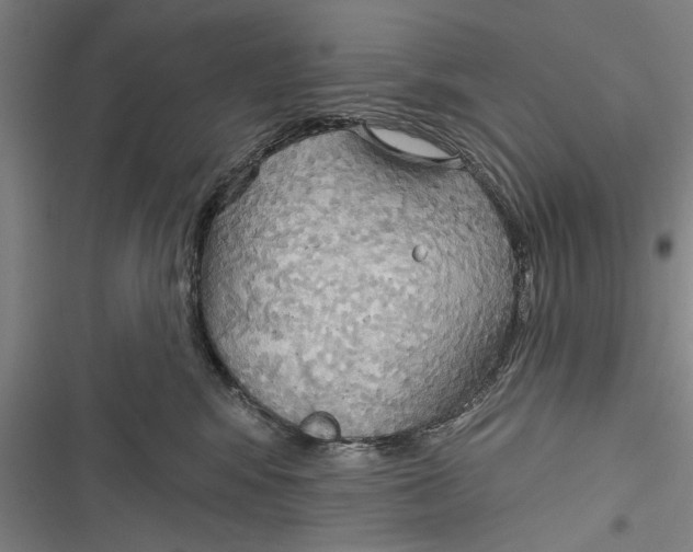 X0000116850424201001121224