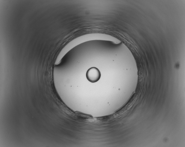 X0000116850425201001121224