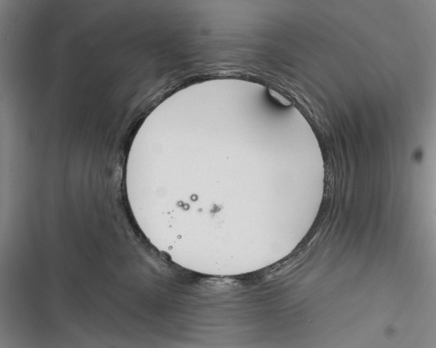 X0000116850427201001121224