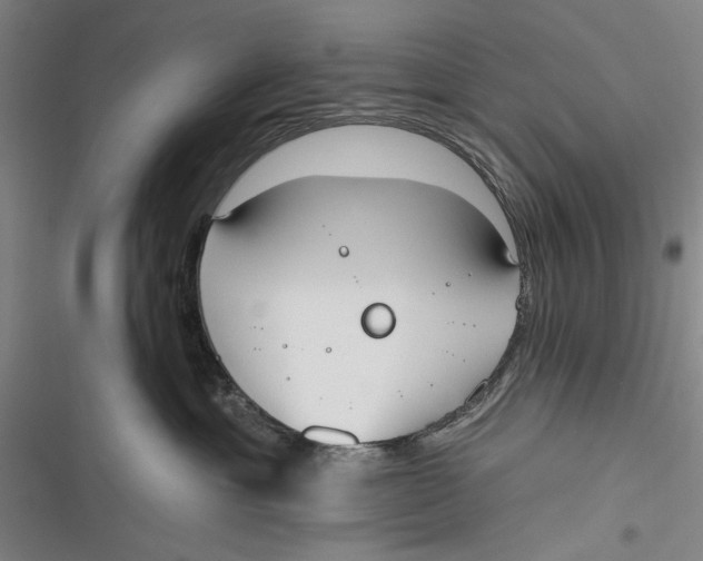 X0000116850429201001121224