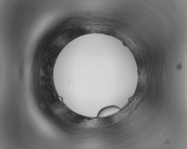 X0000116850430201001121224
