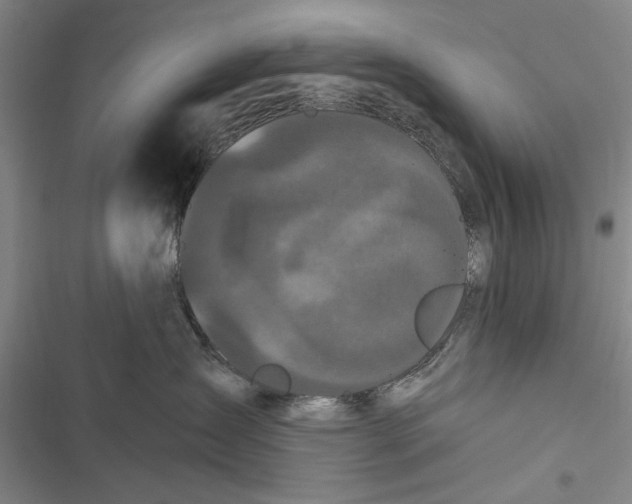 X0000116850431201001121224