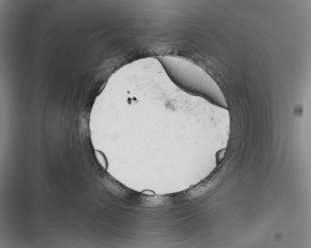 X0000116850432201001121224